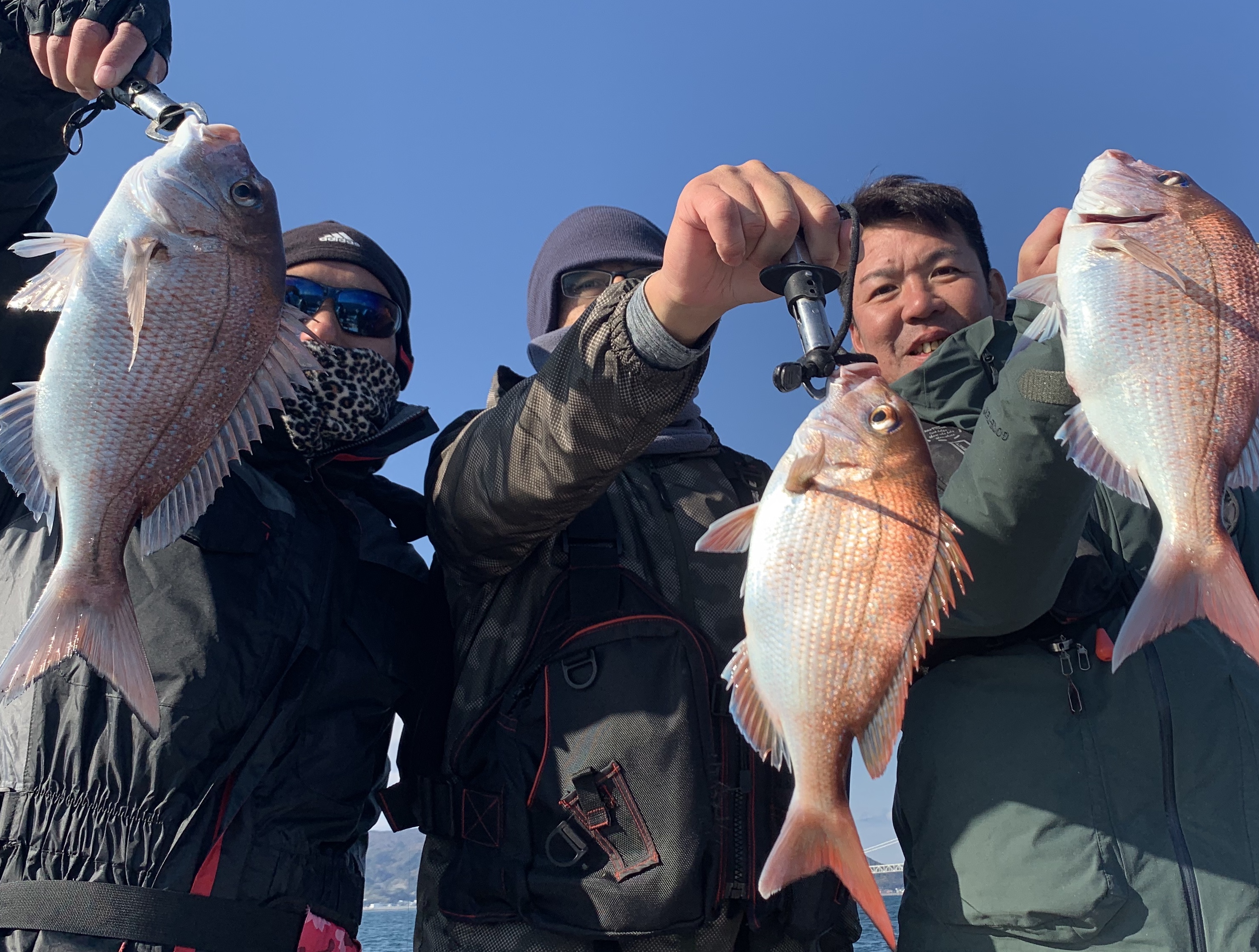 カワラハハコ タイラバ一本勝負に午後カワハギ！ 12月4日！ | 海峡ガイドサービス